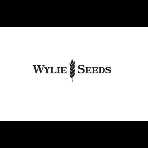 Wylie Seed and Processing
